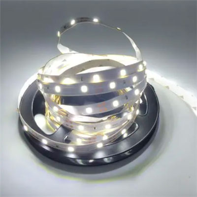 DJ-8mm-2835-60D-12V-2.4W LED Strip